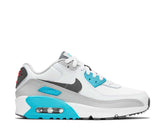 Nike Air Max 90 LTR BR/AZ/VM - CD6864-108-100